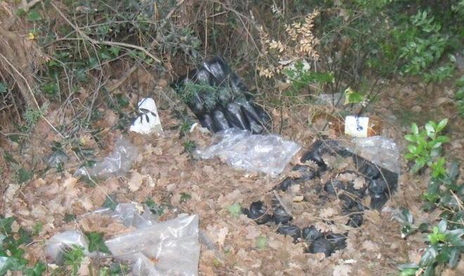 Una discarica a cielo aperto nel bosco