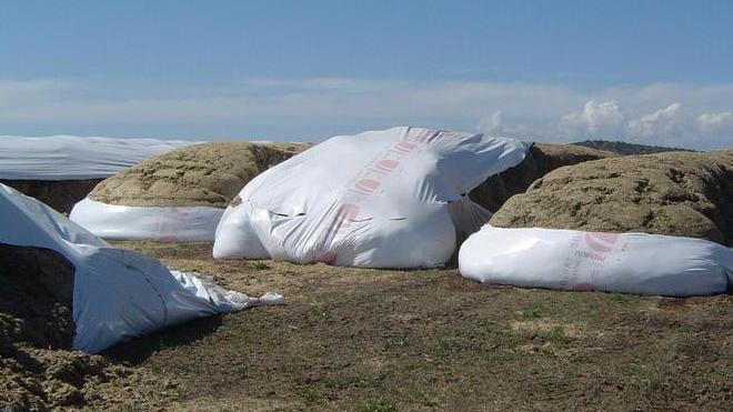 Distrutto il materiale per il biogas