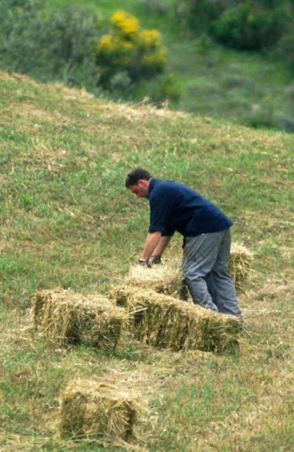Altri due milioni per i giovani agricoltori 