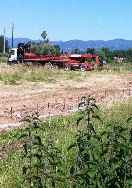 Agricoltori in guerra Terreni off-limits a causa delle reti 