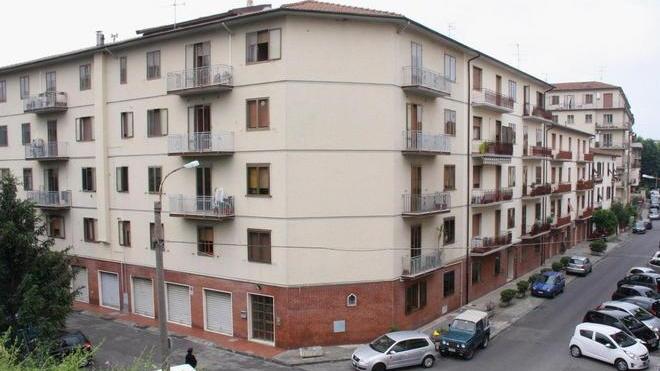 Troppe lucciole allo stadio I residenti: siamo stufi