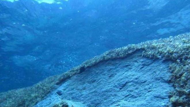 «Il fondale stavolta si è salvato, ma non sarà sempre così»