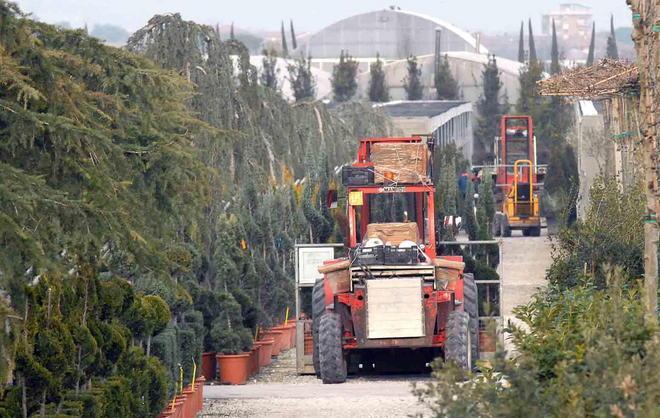 La burocrazia sarà più leggera per le aziende vivaistiche