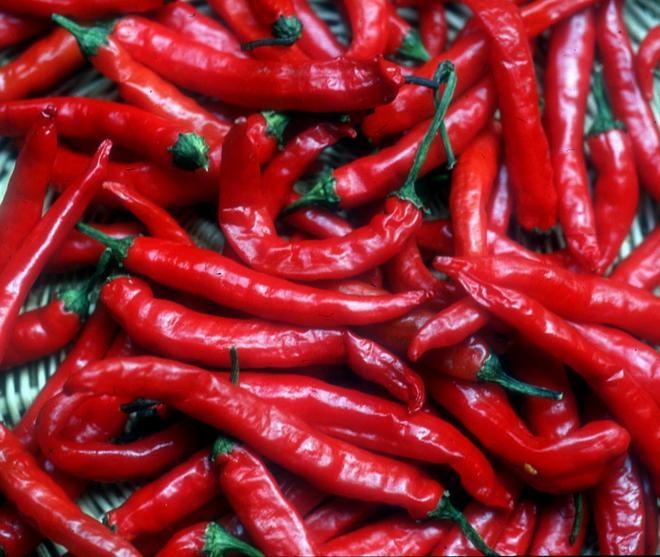 Mangiatori di peperoncino in gara a Castelnuovo la notte è piccante
