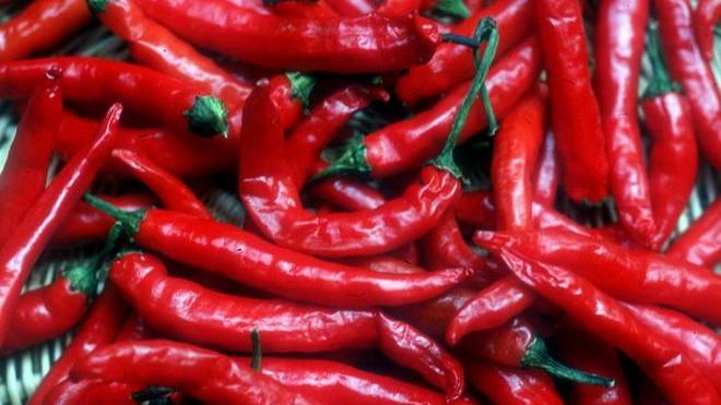 Mangiatori di peperoncino in gara a Castelnuovo la notte è piccante