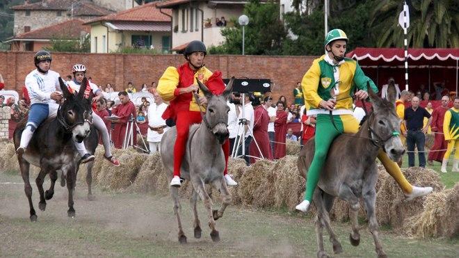Doping al Palio, la Pro Loco si costituirà parte civile