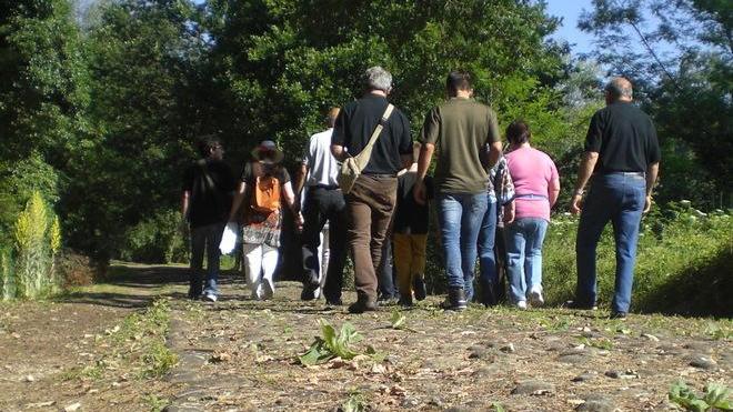 Quattro chilometri nella pace del verde