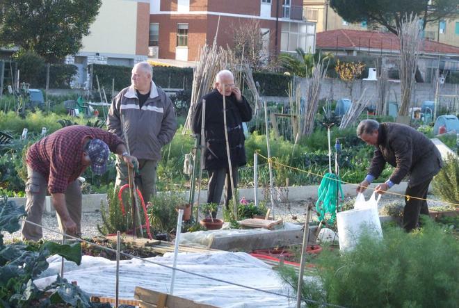 Orti sociali, le domande entro luglio