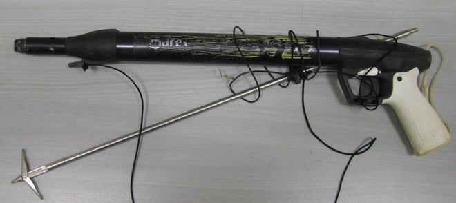 Denunciato per la pesca con il fucile ad aria compressa