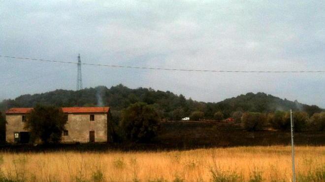 A fuoco dieci ettari di oliveti