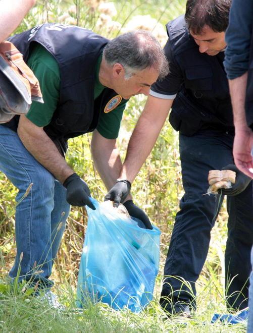 Morto nel fosso, lo trovano dopo giorni 