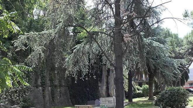 Davanti al gip il rom accusato di stupro