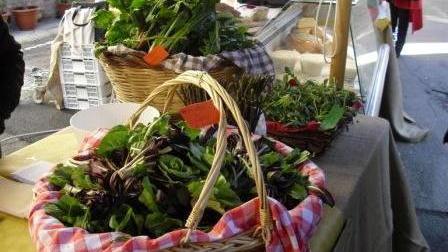 Sapori in piazza