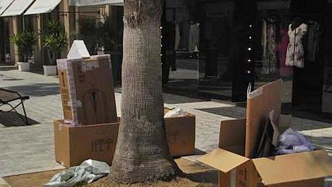«Rifiuti nelle strade del centro»