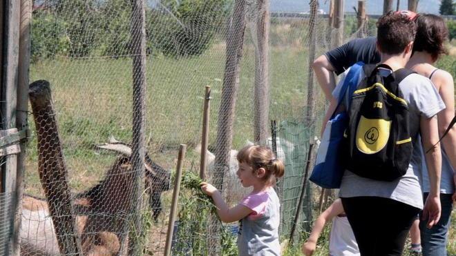 Cercasi famiglie disposte ad adottare un orto