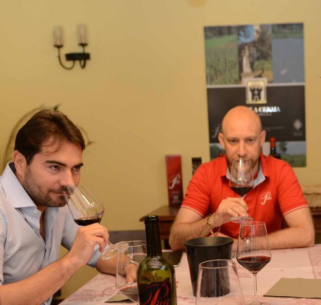 Nasce a “Torre a Cenaia” il miglior vermentino toscano 