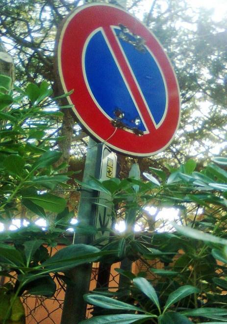 Parcheggi, ecco le tariffe da 0,50 a 2,50 euro l’ora 