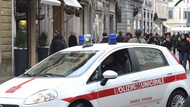 Il conducente della Ford Fiesta se lo è trovato di fronte: aperta un’inchiesta