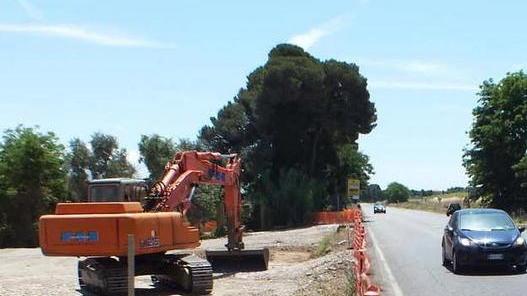 Al lavoro per la rotatoria, costerà 300mila euro