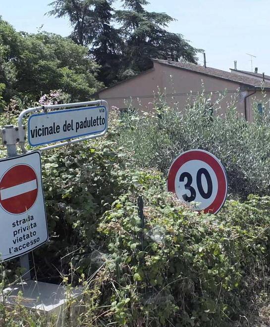 Fra erbacce e strade sconnesse 