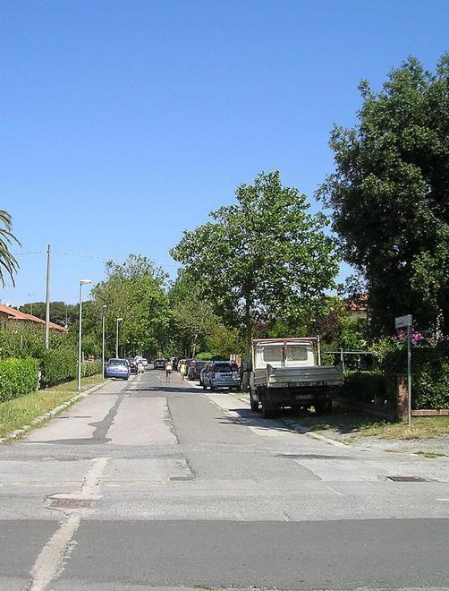 Palazzoni, sì alla disinfestazione 