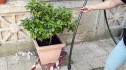 Cadavere in fondo a un pozzo in un orto