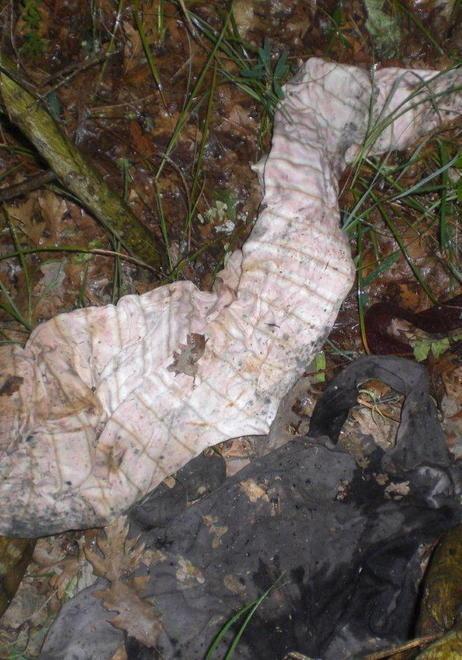 Roberta, oggi a Roma l’esame sui vestiti trovati a Montaione 