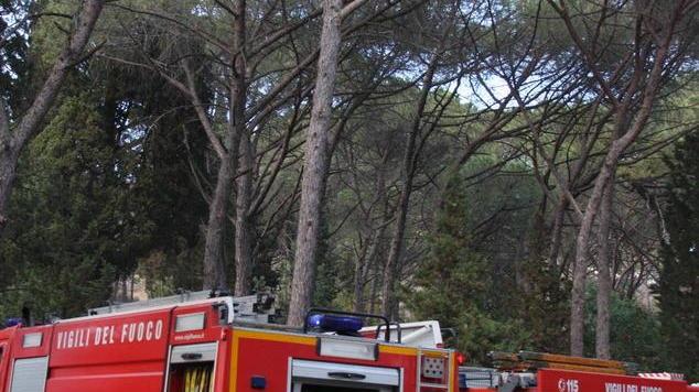 Auto precipita in una scarpata