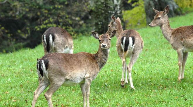 Ecomuseo della montagna, luglio pieno di appuntamenti
