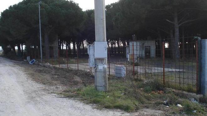 Agli scout l’area del Felciaione