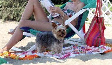 Anche Fido va in spiaggia Alla Partaccia la novità 2012 