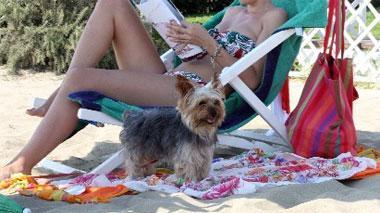 Anche Fido va in spiaggia Alla Partaccia la novità 2012