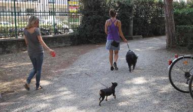 Villa Fabbricotti, i cani e i vigili fantasma 