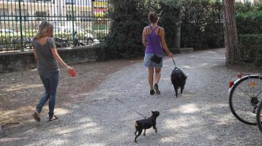 Villa Fabbricotti, i cani e i vigili fantasma