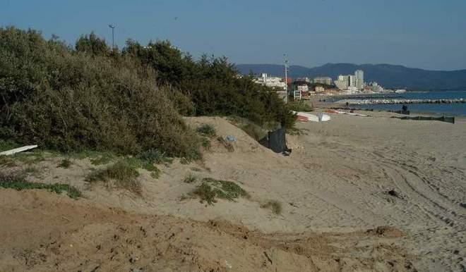 La pineta di Pratoranieri trasformata in una latrina 