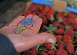Reddito minimo garantito, Sel raccoglie le firme 