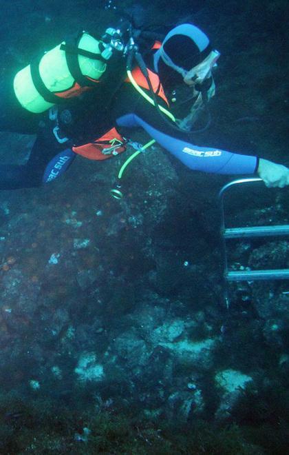 Spazzini del mare dentro il porto 