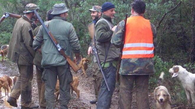 Caccia al cinghiale, minimo in diciotto alle battute future