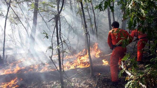 Allarme rosso per i boschi via al piano antincendi