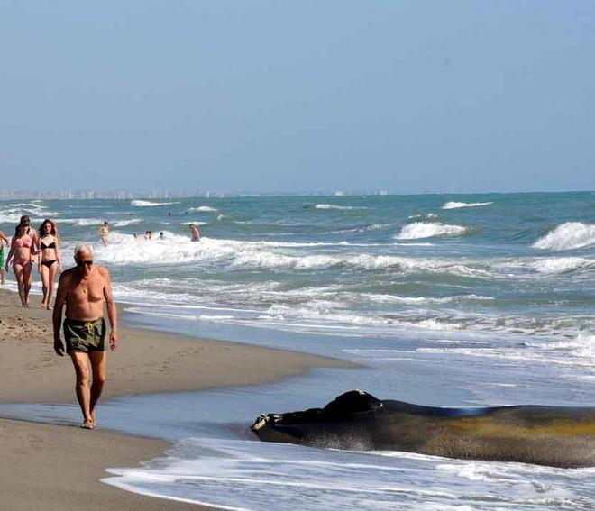 «Salvate la spiaggia di Poveromo» Appello dei turisti alla Provincia 