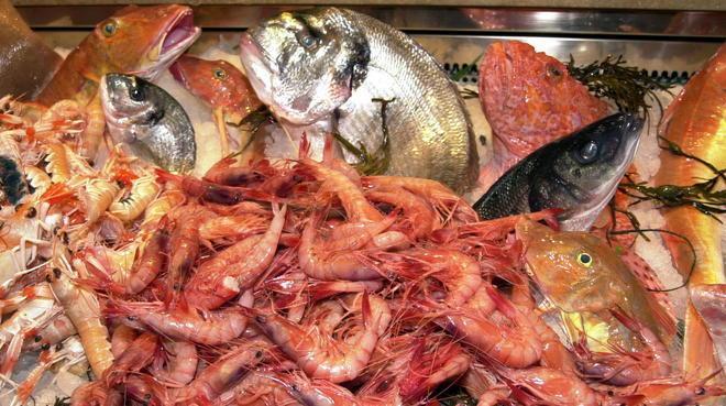 Monito dal convegno su Pacini: «Occhio al pesce crudo» 