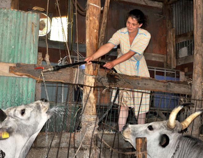 La passione di tornare alla terra 
