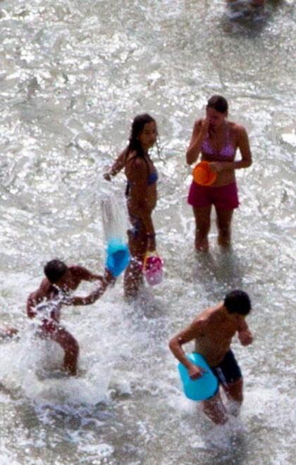 Cani in spiaggia, ecco dove portarli 
