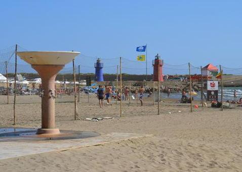 Miasmi insopportabili sulla spiaggia 