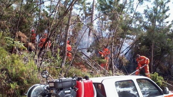 L’incendio ha mandato in fumo 15 ettari
