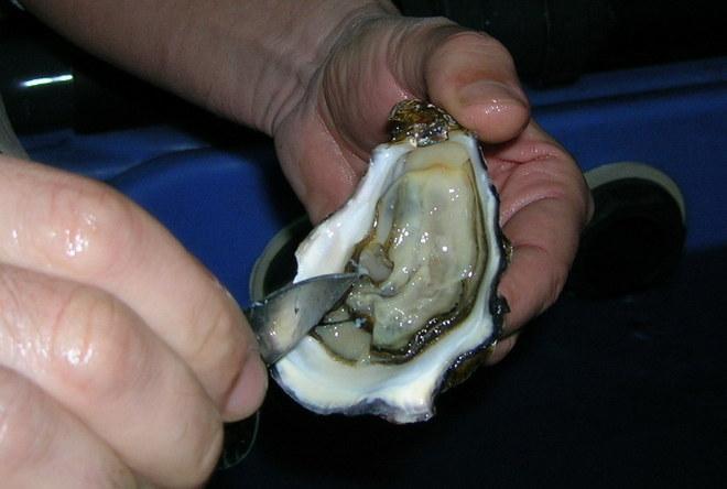 La maggioranza: «Siniscola è coesa con il sindaco» 