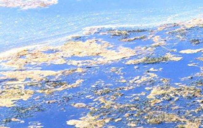 Il Comune chiamato a gestire la laguna 