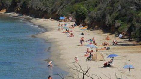 Gelati a Cala Violina, il Tar dice sì al Comune