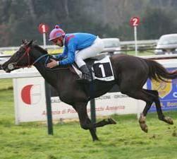 Laghat cavallo cieco torna a calcare la pista del Casalone 