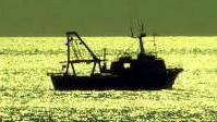 Pesca a strascico illegale e tutti chiudono gli occhi